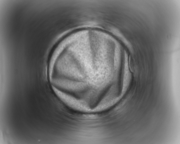 X0000088141320200706042001