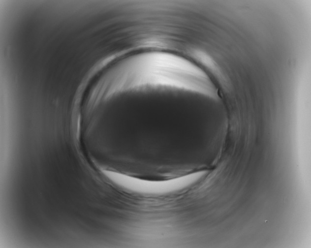 X0000088141323200706042001