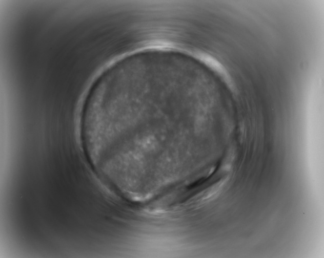 X0000088141326200706042001