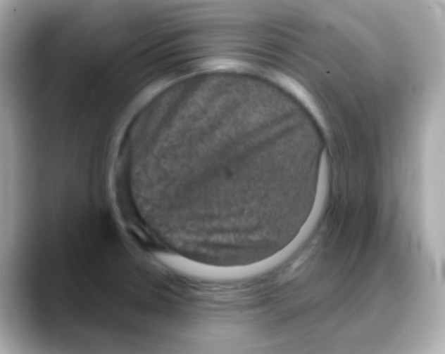 X0000088141330200706042001