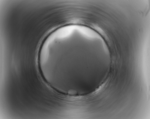 X0000088141331200706042001