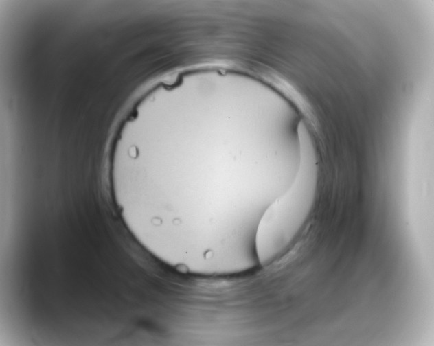 X0000088141332200706042001