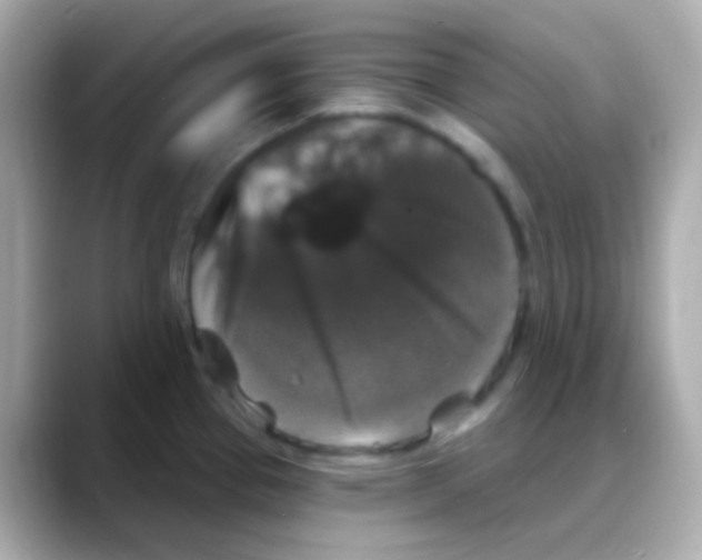 X0000088141337200706042001