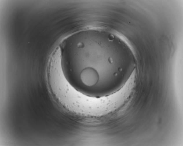 X0000088141338200706042001