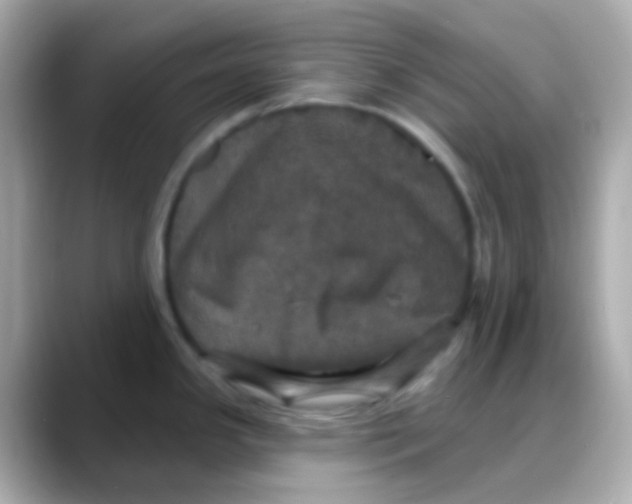 X0000088141341200706042001