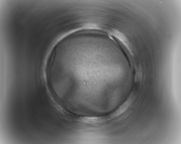 X0000088141342200706042001