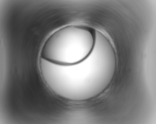 X0000088141344200706042001