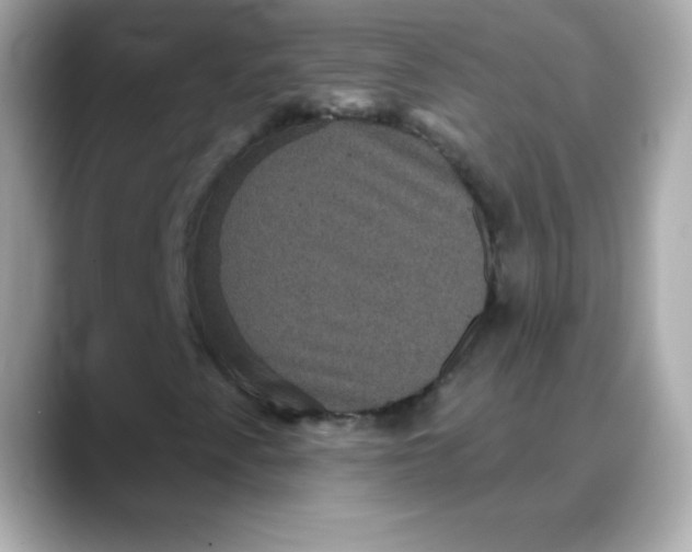 X0000088141345200706042001