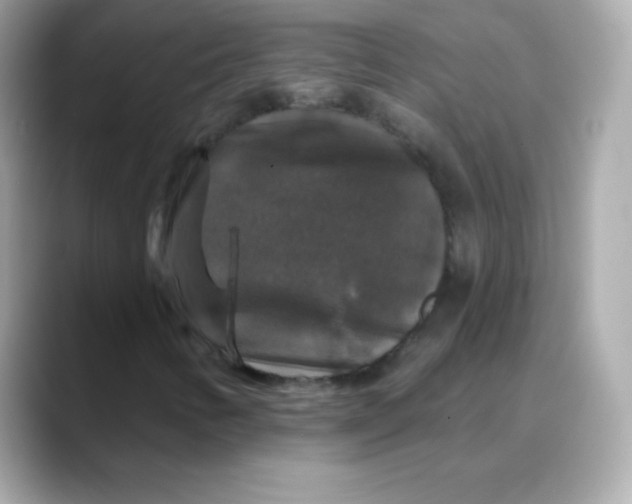 X0000088141346200706042001