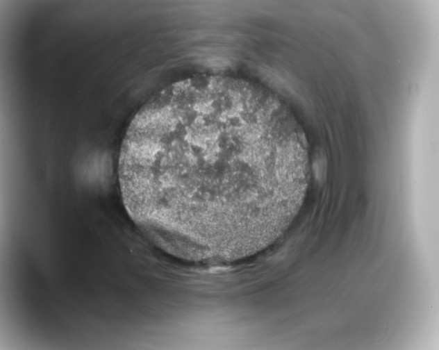 X0000088141347200706042001