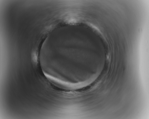 X0000088141348200706042001