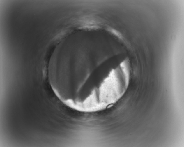 X0000088141350200706042001