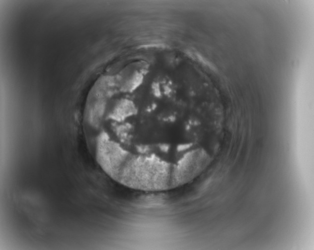 X0000088141351200706042001