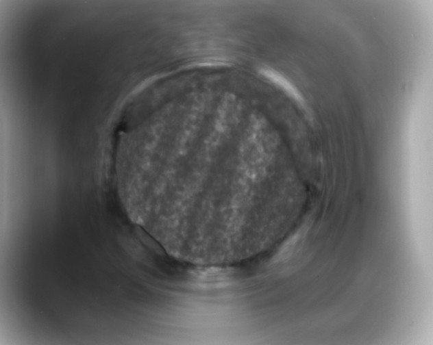 X0000088141352200706042001