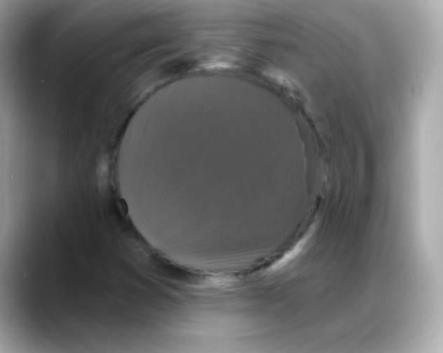 X0000088141353200706042000