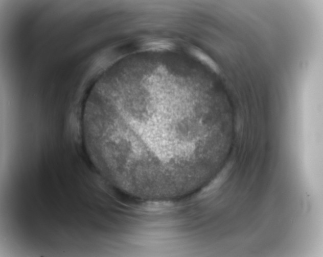 X0000088141354200706042000