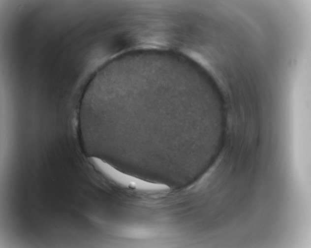 X0000088141355200706042000