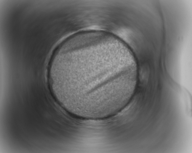 X0000088141356200706042000