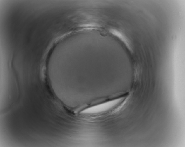 X0000088141357200706042000