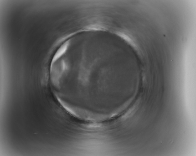 X0000088141358200706042000