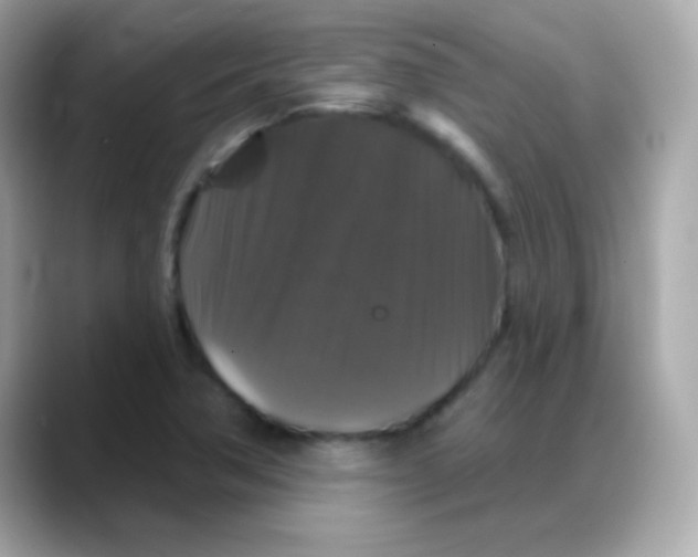 X0000088141362200706042000