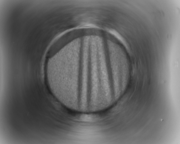 X0000088141364200706042000