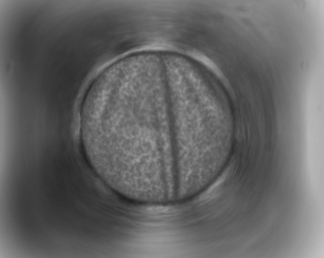 X0000088141366200706042000