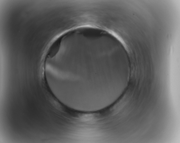 X0000088141367200706042000