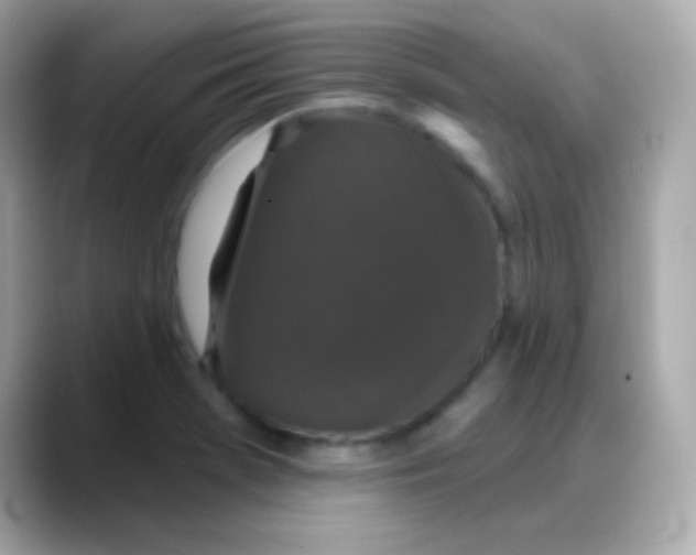 X0000088141369200706042000