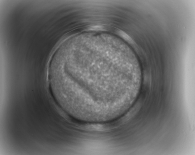 X0000088141370200706042000