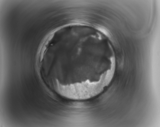 X0000088141371200706042000