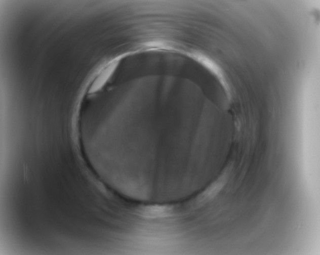 X0000088141373200706042000