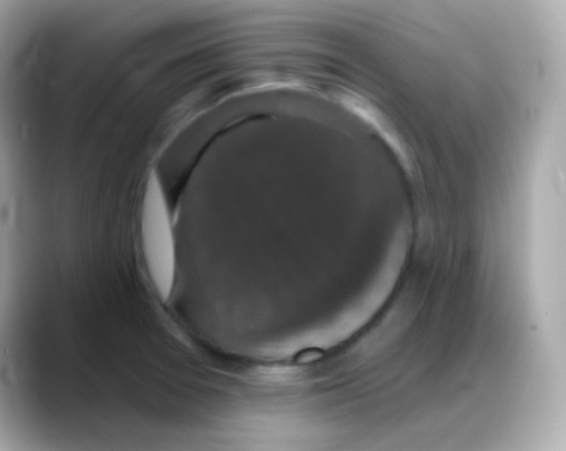 X0000088141377200706042000