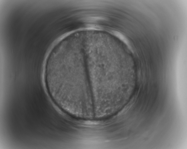 X0000088141379200706042000