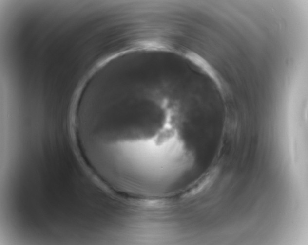 X0000088141381200706042000