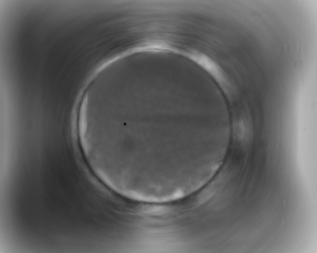 X0000088141382200706042000