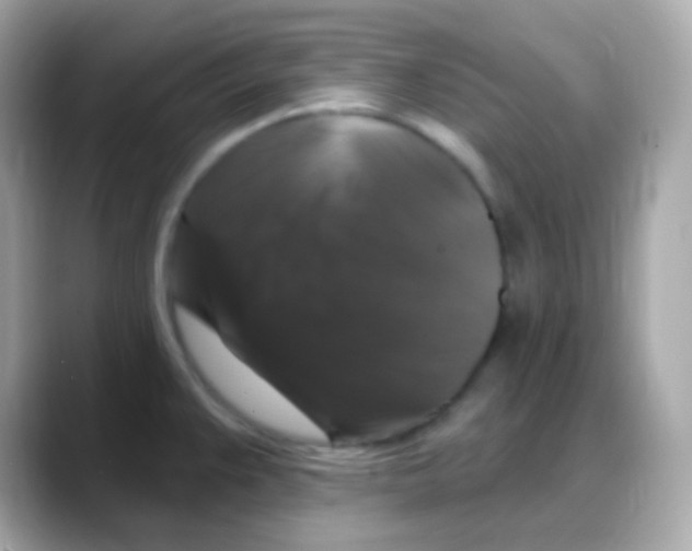 X0000088141383200706042000