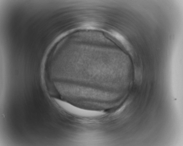 X0000088141384200706042000