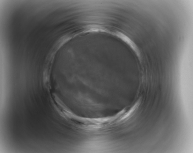 X0000088141385200706042000