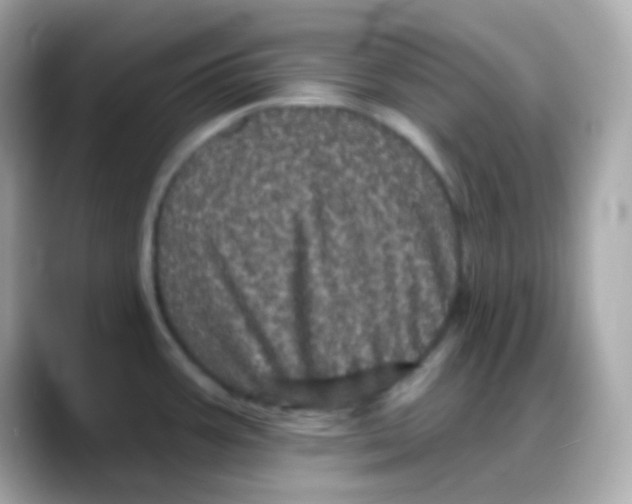 X0000088141387200706042000