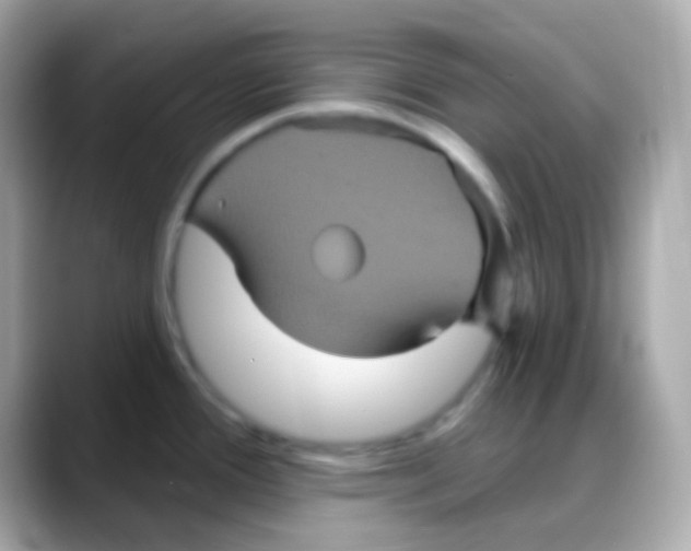 X0000088141388200706042000