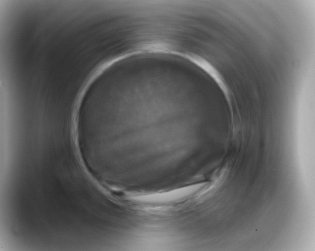 X0000088141389200706042000