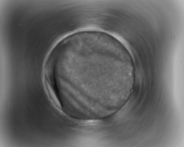 X0000088141390200706042000