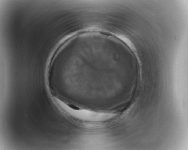 X0000088141392200706042000