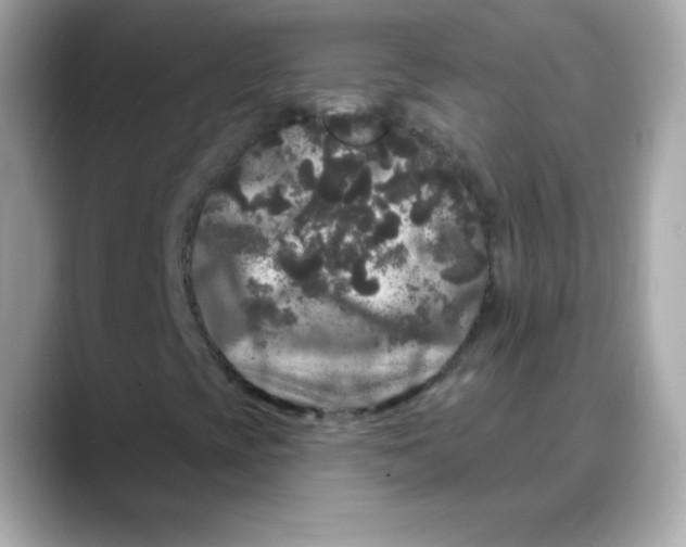 X0000088141393200706041959