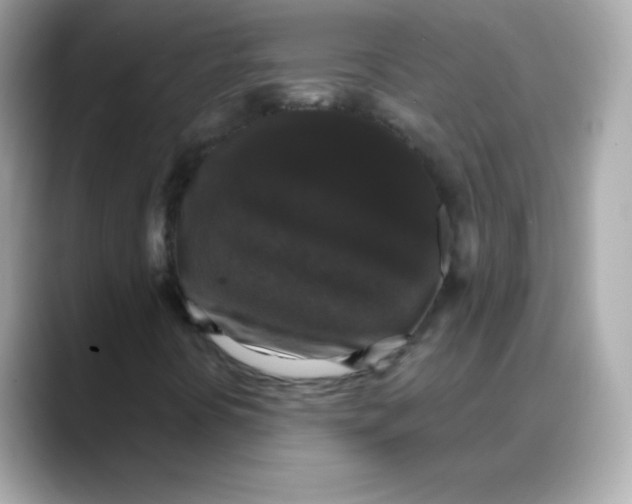 X0000088141394200706041959