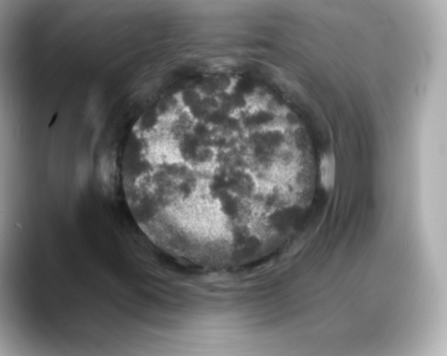 X0000088141395200706041959