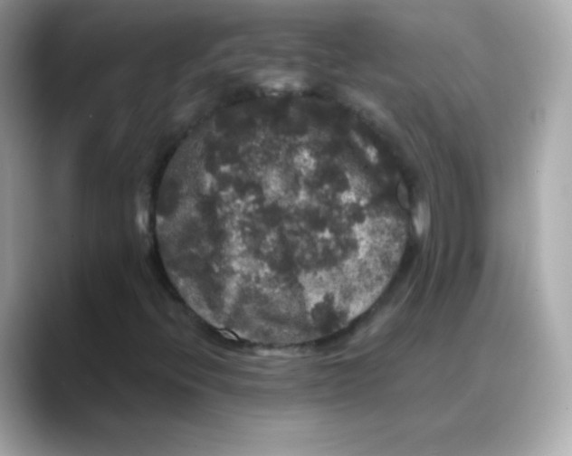 X0000088141396200706041959