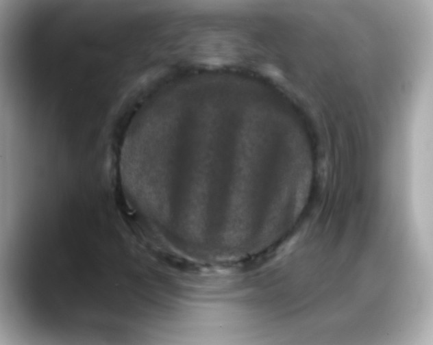 X0000088141398200706041959