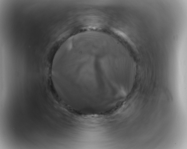 X0000088141399200706041959